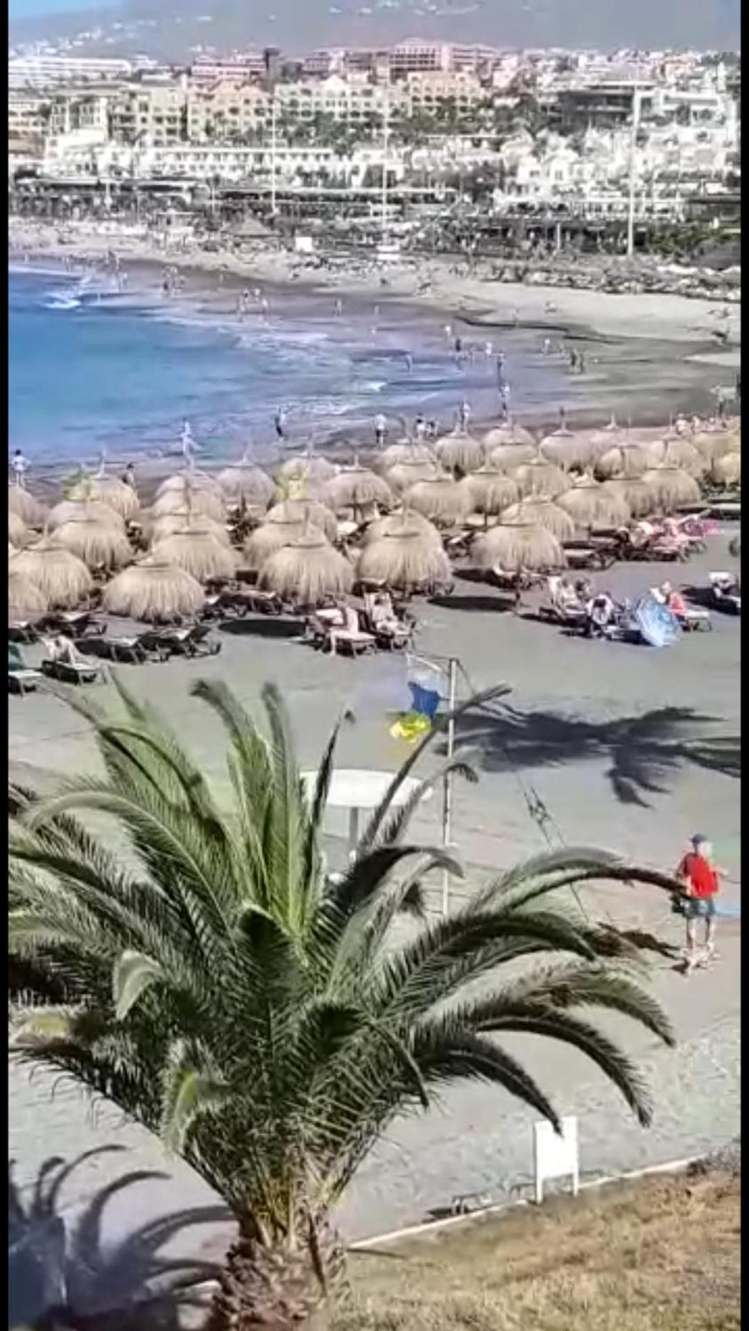 Chill Out Tenerife Sud - Monolocale Con Piscina Riscaldata Costa Del Silencio Exteriör bild